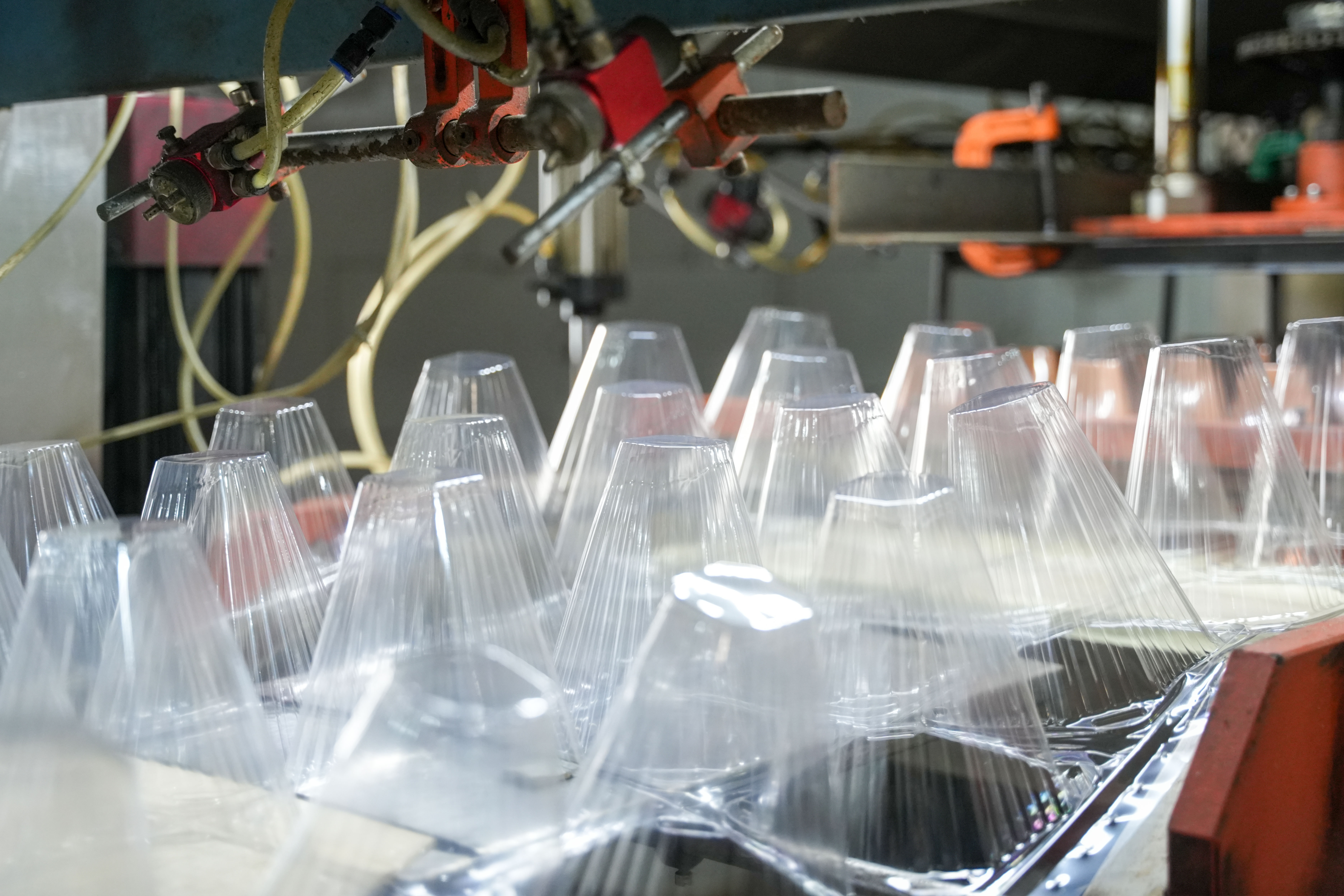 Cum protejează capacul pentru răsaduri din plastic de unică folosință răsadurile de dăunători, insecte și animale mici?