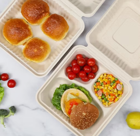 Oferă recipientele din plastic pentru alimente cu sigiliuri etanșe din silicon oferă o conservare mai bună a alimentelor decât recipientele sigilate integral din plastic?